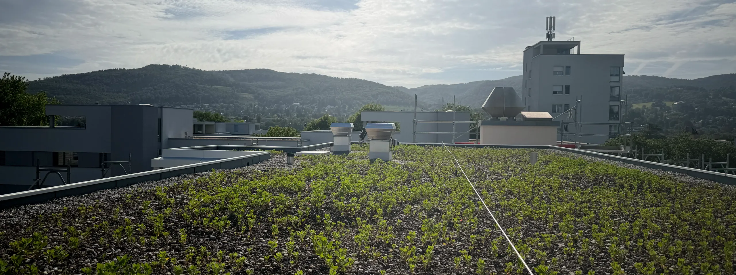 Begrüntes Flachdach an der Aumattstrasse mit Ausblick über die Hügel der Nordwestschweiz – Referenzprojekt der A+B Flachdach AG
