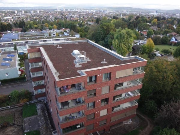 Im Meiriacker – Flachdach-Sanierung – Binningen